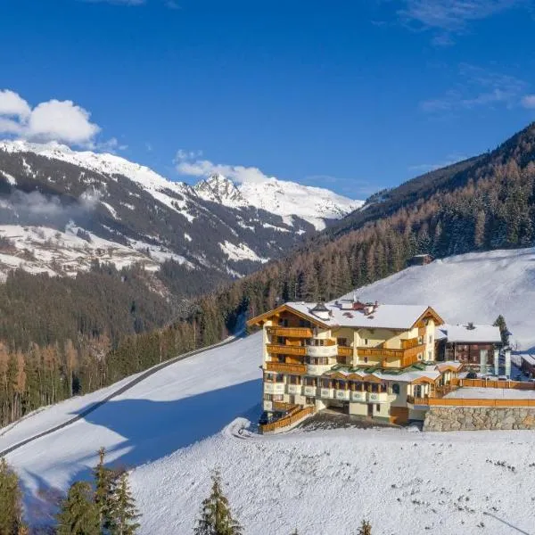 Gasthof Tannen - Alm，位于克里姆尔的酒店