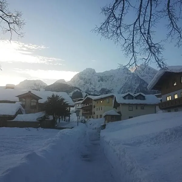 Ferienwohnung 2 Haus Dörfler，位于阿布特瑙的酒店