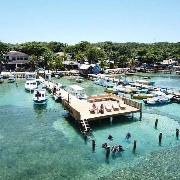 Splash Inn Dive Resort & Villas，位于Gravel Bay的酒店