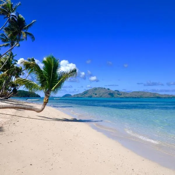 椰子海滩度假村，位于Navotua的酒店