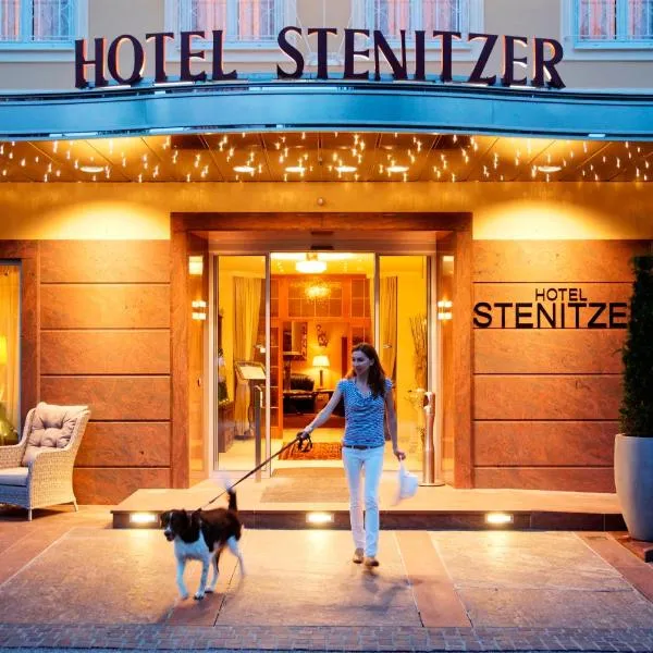 斯特恩特兹尔酒店，位于Bernreith的酒店