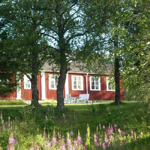 Å-hemmet i Dikanäs，位于Kittelfjäll的酒店