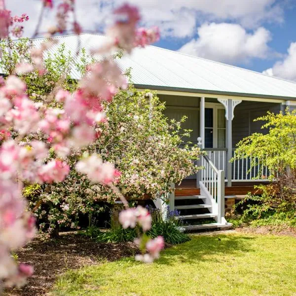 Apple Blossom Cottages，位于史丹霍普的酒店