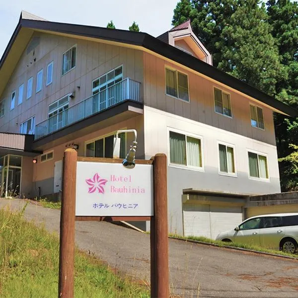 Hotel Bauhinia，位于Akakura的酒店
