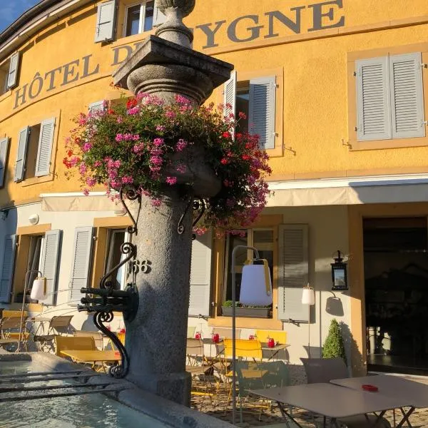 Hôtel du Cygne，位于滨湖埃斯塔瓦耶的酒店