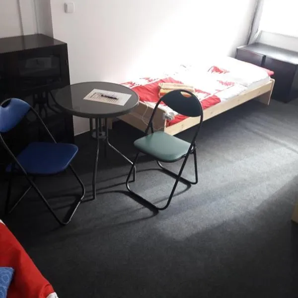Apartmán pod Mariánskou horou，位于代斯纳的酒店