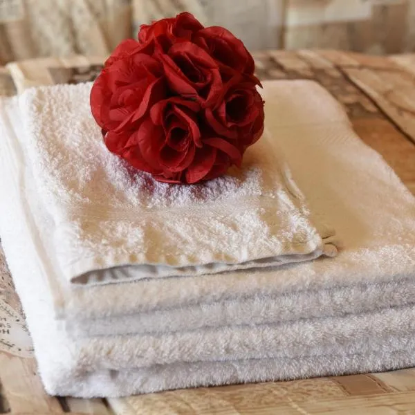 Casa Dante，位于罗马诺迪隆巴尔迪亚的酒店