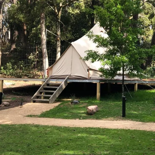 Garden Beds Glamping，位于Blackwood的酒店