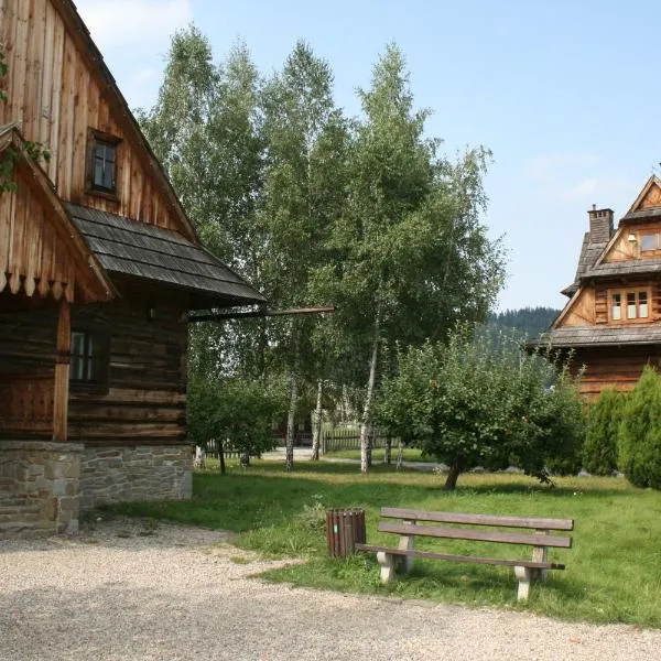 Polana Sosny，位于涅兹卡城堡的酒店