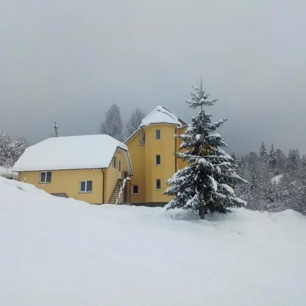 Guest House Magnat，位于艾兹基的酒店