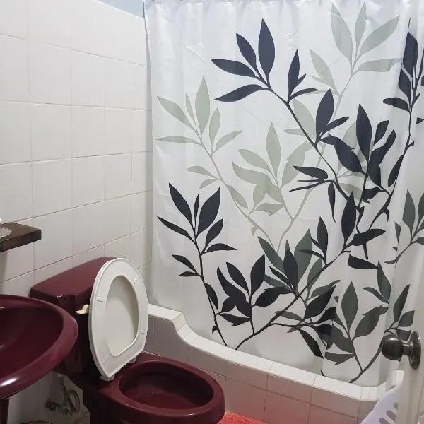 lee's home2，位于San Vicente的酒店