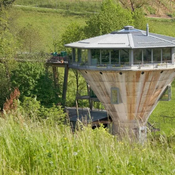 Bergwerksilo Herznach，位于Herznach的酒店