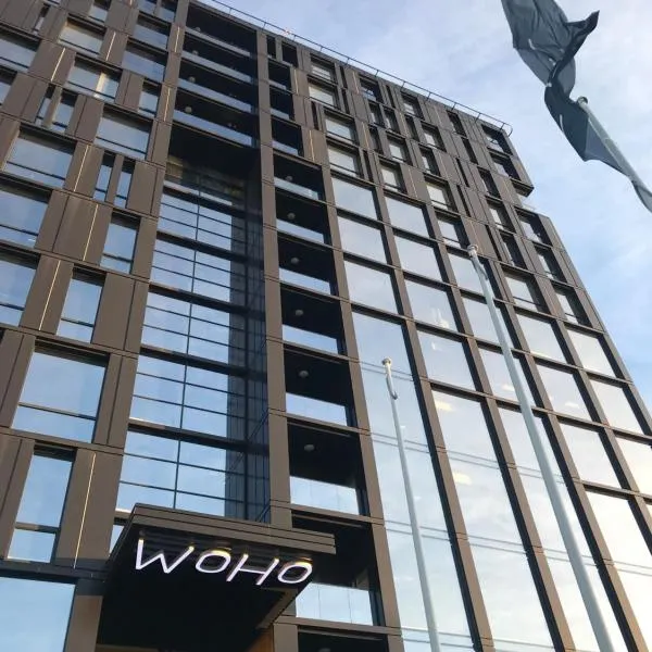 WoHo Luxury appartments，位于Tabasalu的酒店