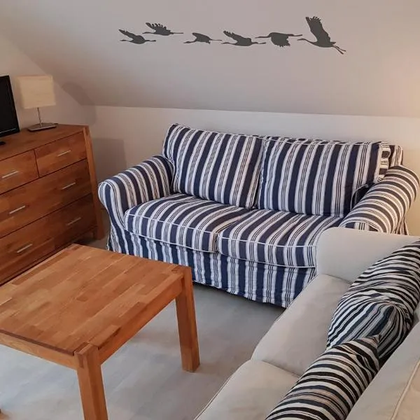 Ferienwohnung Kranichblick，位于青斯特的酒店