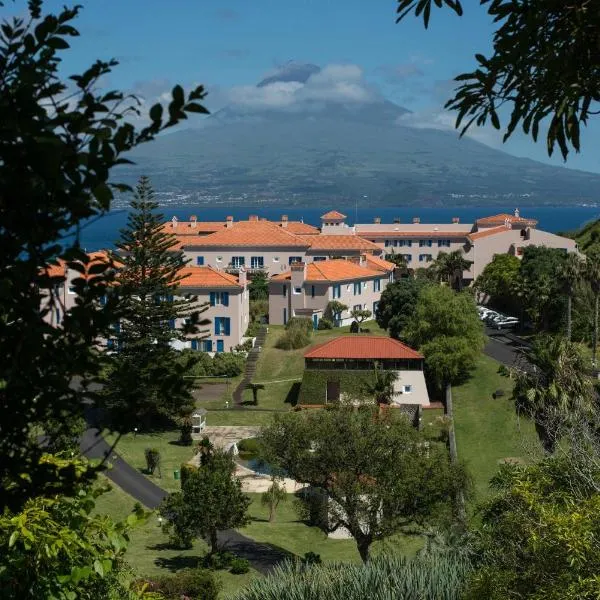 法亚尔阿佐利斯花园度假酒店，位于Castelo Branco的酒店