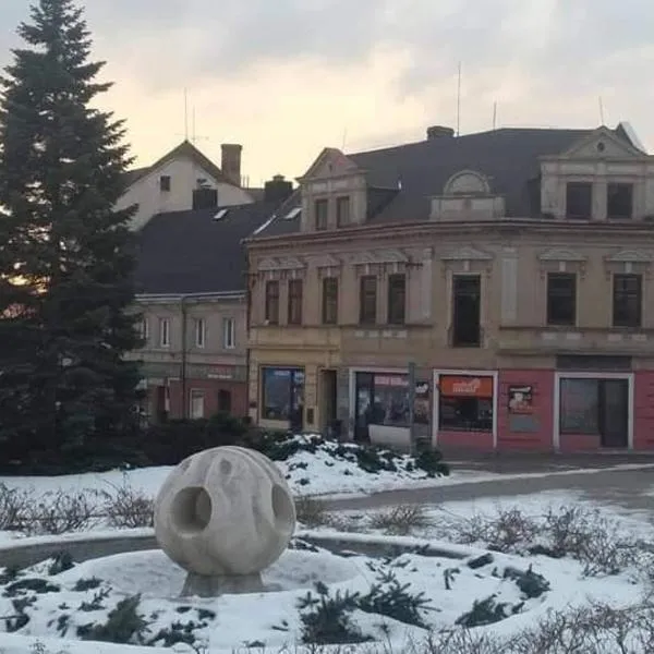 Apartmány Litvínov centrum，位于Meziboři的酒店