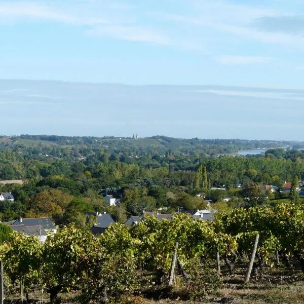 Clos sainte catherine，位于Rablay-sur-Layon的酒店