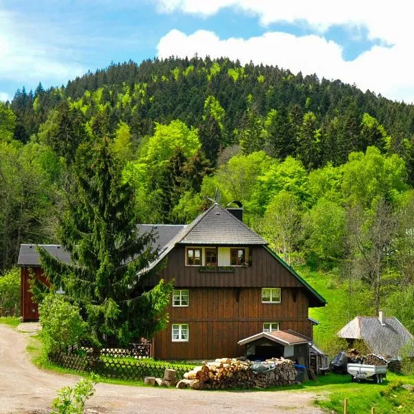 Ferienhaus Hinterzarten，位于欣特察尔滕的酒店