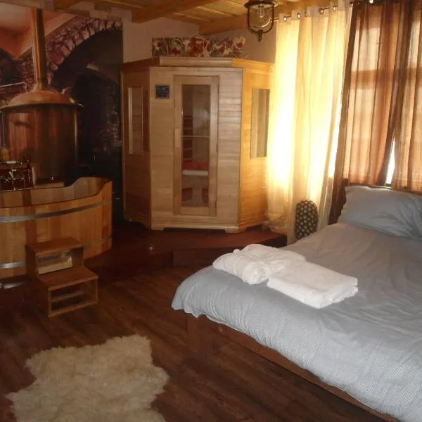 斯托度尔尼豪华公寓，位于俄斯特拉发的酒店