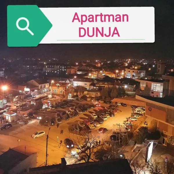 Apartman DUNJA，位于弗拉涅的酒店