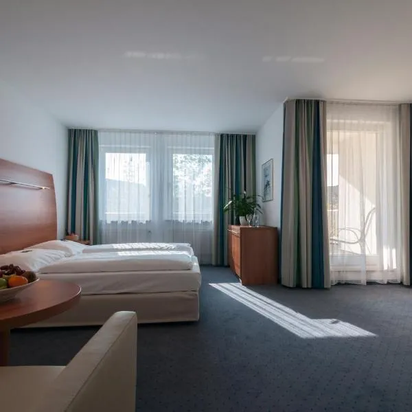 弗杜纳艾尔贝酒店，位于厄姆河畔的德廷根的酒店