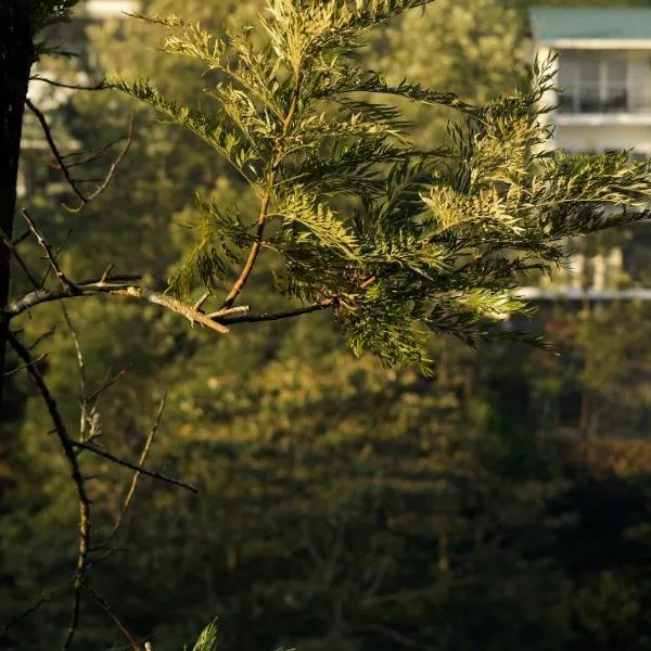 Falcon Crest，位于瓦加蒙的酒店