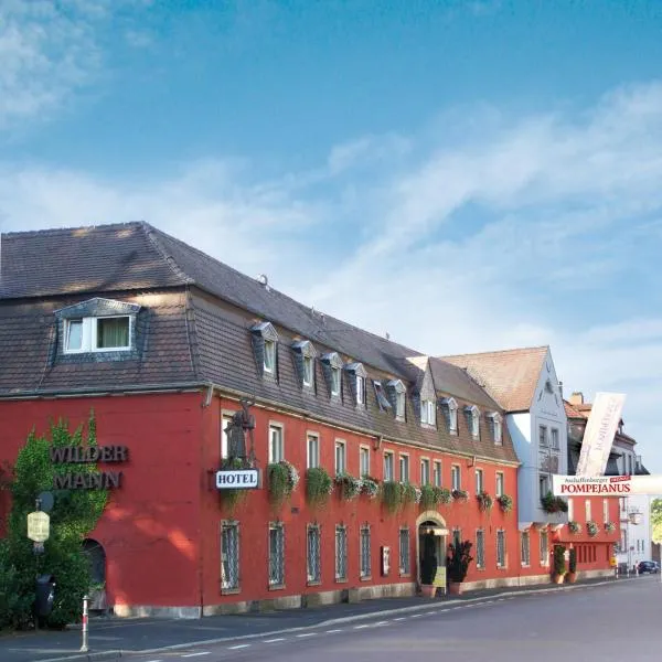 怀尔德曼酒店，位于Kleinostheim的酒店
