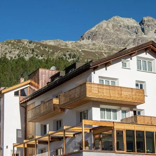 Conrad's Mountain Lodge，位于席尔瓦普拉纳的酒店