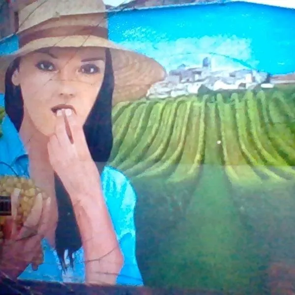 turismo rural del somontano (Alquiler de apartamentos)，位于Salas Bajas的酒店