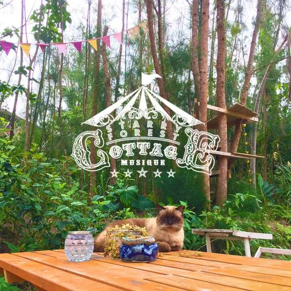 猫とピアノと星空のリゾートブティックコテージ -Starry Forest Cottage Okinawa-，位于恩纳的酒店