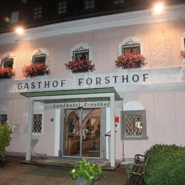 Forsthof Next Door，位于Sierning的酒店