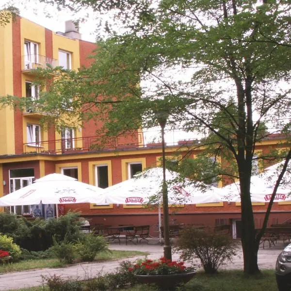 HOSTEL SUCHY BÓR，位于Chrząstowice的酒店