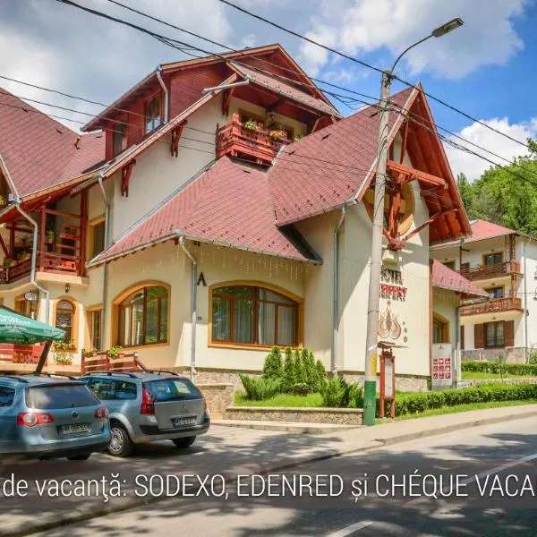 塞弗特酒店，位于Sovata Băi的酒店