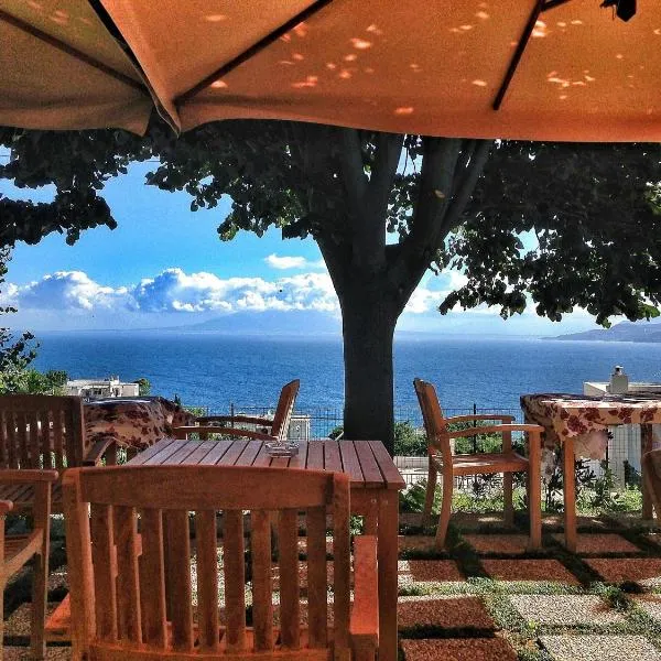 卡普里红酒酒店，位于Isola di Capri的酒店