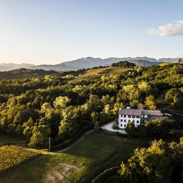 Oasi Picolit，位于Povoletto的酒店