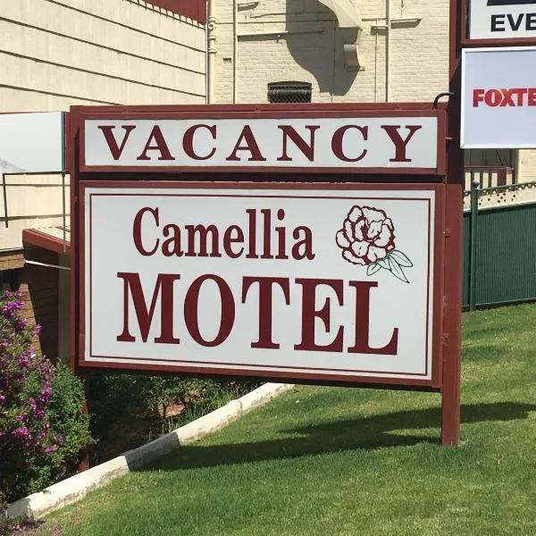 卡梅利亚汽车旅馆，位于纳兰德拉的酒店