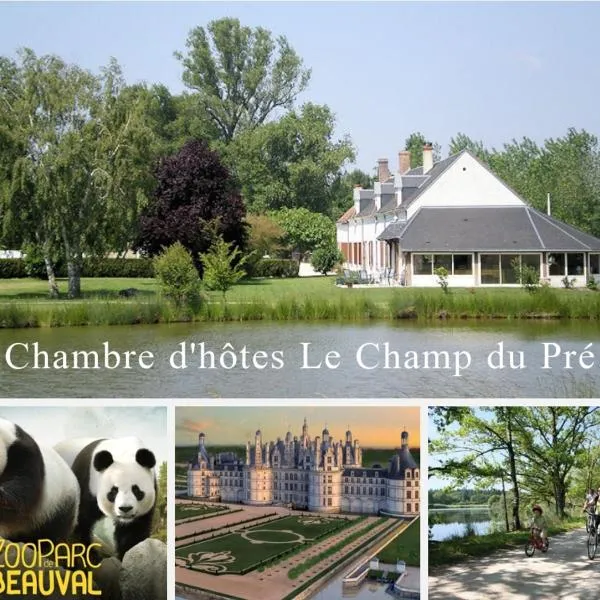 Le Champ du Pré，位于Chabris的酒店