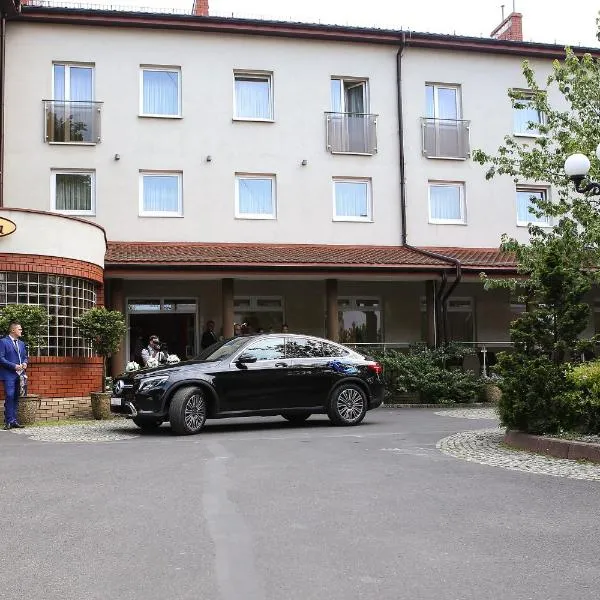 Restauracja Hotel VIP，位于Załęcze Małe的酒店