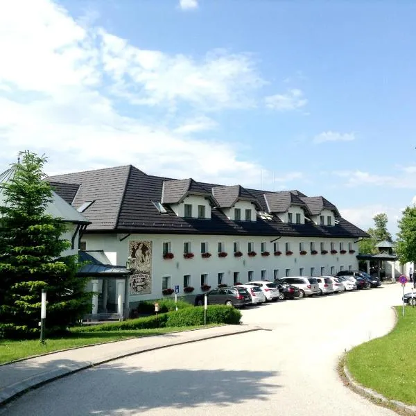 斯克伯格1A酒店，位于Weifersdorf的酒店