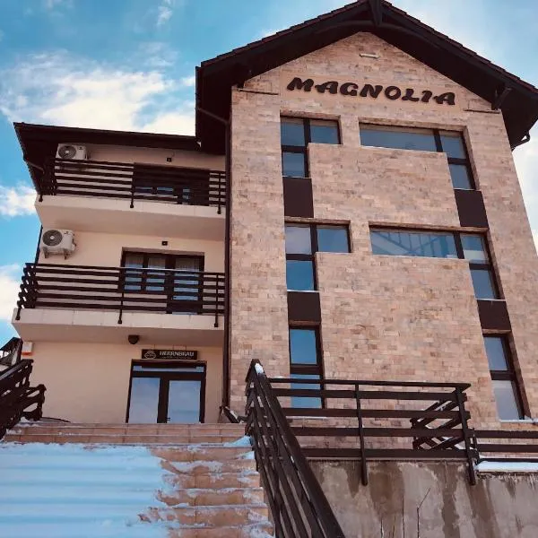 Pensiunea Magnolia，位于Bădoşi的酒店