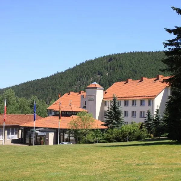 Waldhotel Berghof Thüringer Wald，位于卢森塔尔的酒店