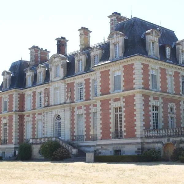 Chateau du Guérinet D'Orchaise，位于Landes-le-Gaulois的酒店
