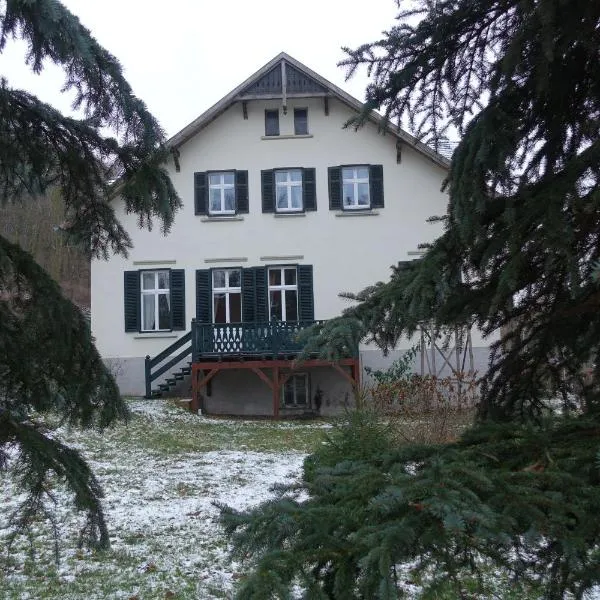 Pension Gräfliche Villa，位于Genschmar的酒店