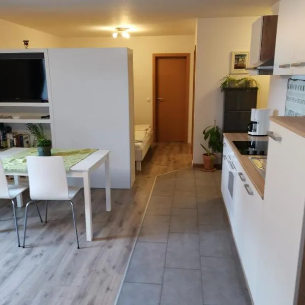 modernes Appartement Schwarzwald Nähe Freiburg，位于Oberspitzenbach的酒店