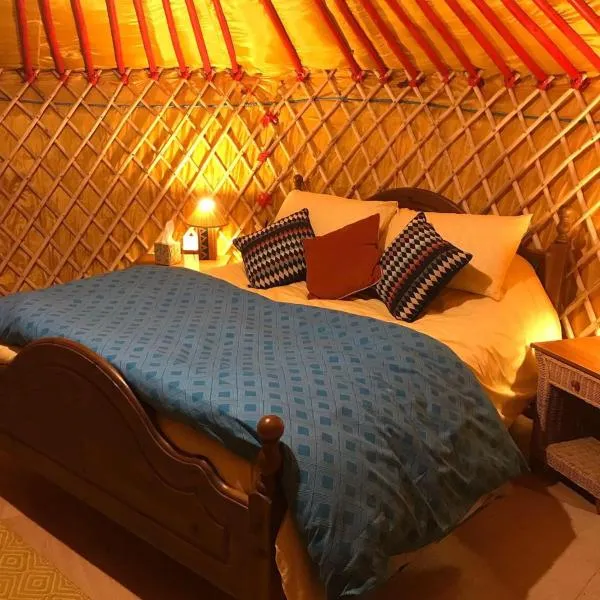 McClure Yurt at Carrigeen Glamping，位于Knockanuddoge的酒店