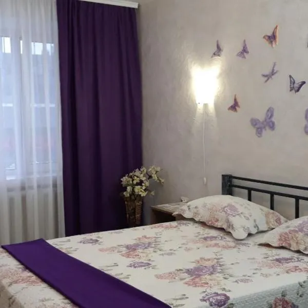 Apartment on Kamyanetskaya street，位于赫梅利尼茨基的酒店