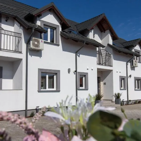 Apartament Saguna，位于Sînnicolau Mare的酒店