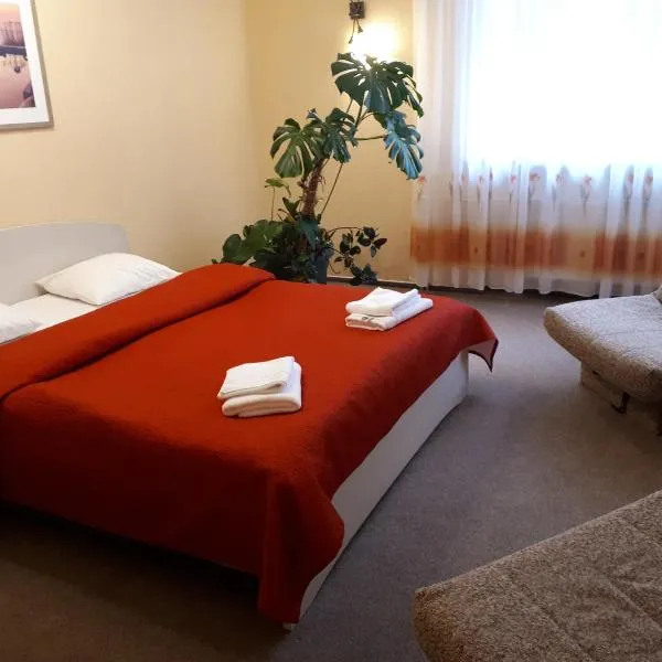 明霍泽娜武达酒店，位于Vidriži的酒店