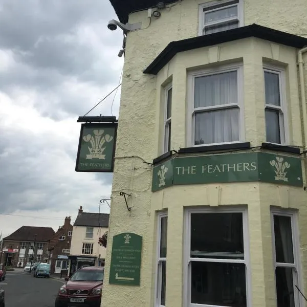 The Feathers，位于波克灵顿的酒店