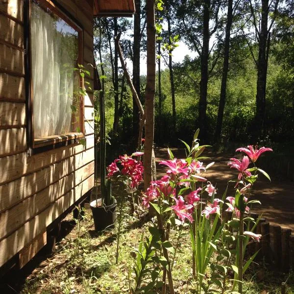 Eco-Cabañas Quetroleufu，位于卡布尔瓜的酒店